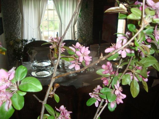 44 On Ennis Guest Lodge And Restaurant - No Load Sheddding Ermelo Exteriör bild