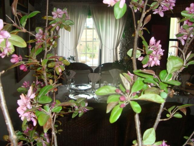 44 On Ennis Guest Lodge And Restaurant - No Load Sheddding Ermelo Exteriör bild